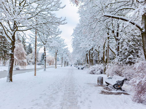 snow removal